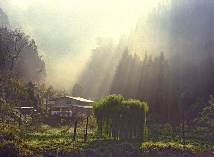 2006 Photography Competition Excellent Work Zhang, Kun-hui - Morning Light小圖