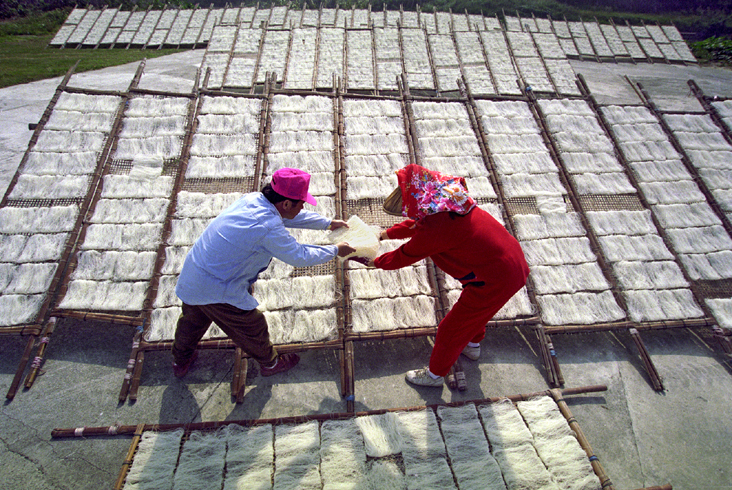 2006 Photography Competition Selective Choice Huang, Jin-Cai -Sunbathing小圖