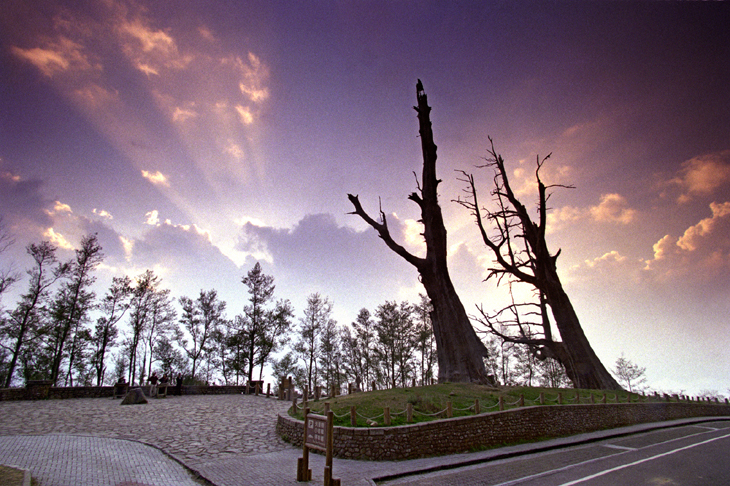 2006 Photography Competition Silver Medal Deng, Zhi-long - Happy Together小圖