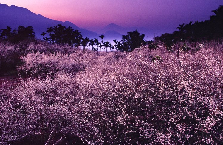 2006 Photography Competition Silver Medal Wei, Lai-chun - Beautiful Dusk in Mei-yuan小圖