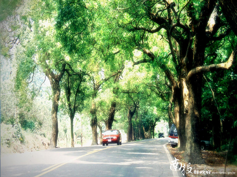 Green Tunnel小圖