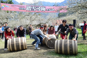 (開新視窗)圖片：信義踏雪尋梅　賞花人潮滿滿