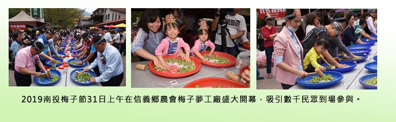 2019南投梅子節31日上午在信義鄉農會梅子夢工廠盛大開幕 ，吸引數千民眾到場參與