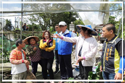 白鹿農損嚴重 林縣長力爭中央救助