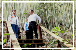 鹿谷和雅遊憩區縣府投入1500萬元營造環境設施