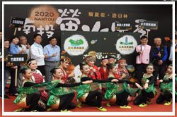 南投賞螢季將登場！四大賞螢區熱情迎賓