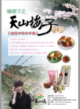 圖片-南投報導第52期