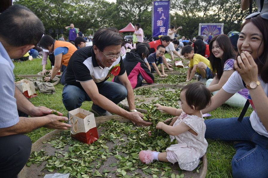 圖片-雙十國慶，茶博會千人體驗揉茶樂趣