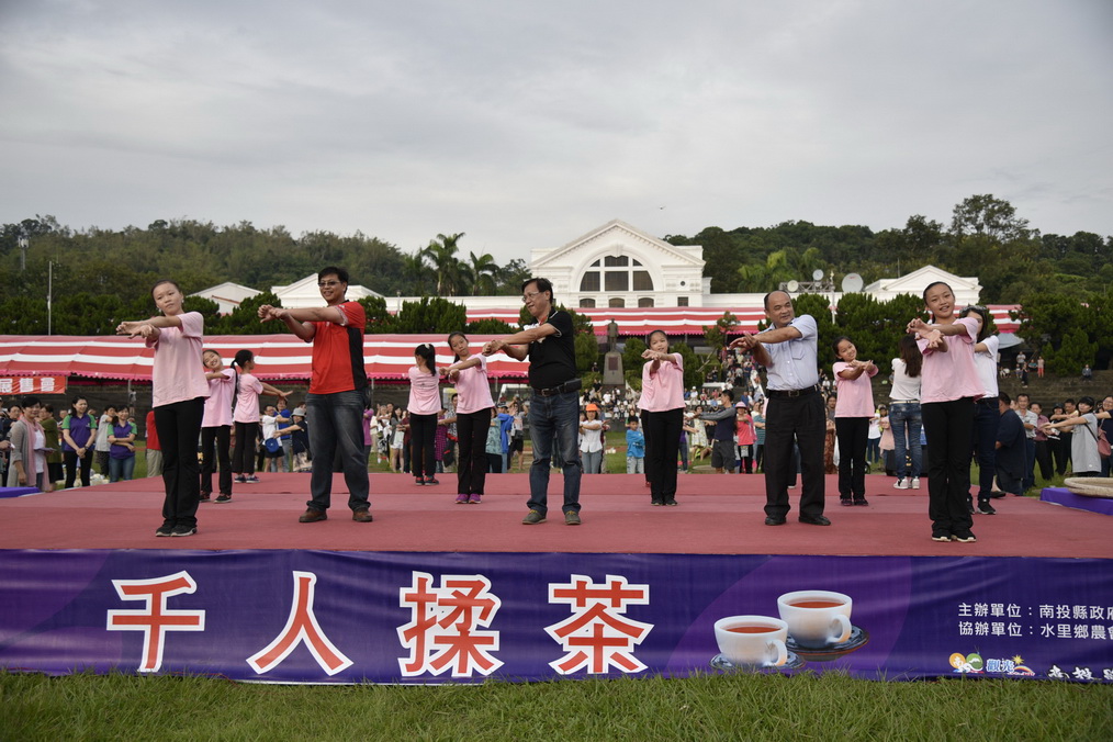 相關圖片2-雙十國慶，茶博會千人體驗揉茶樂趣