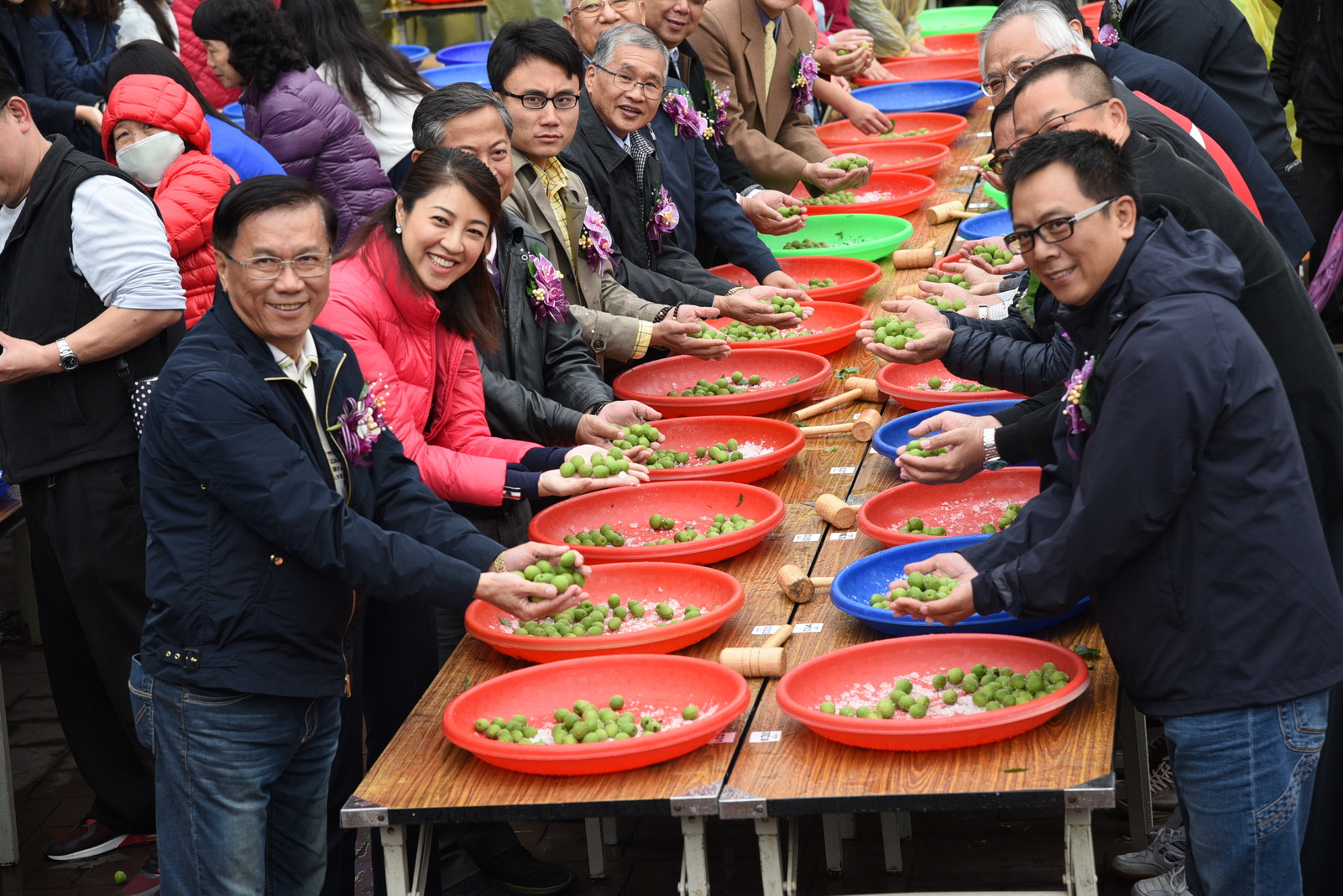 相關圖片2-梅子節超熱門！1,500人風雨無阻動手做脆梅