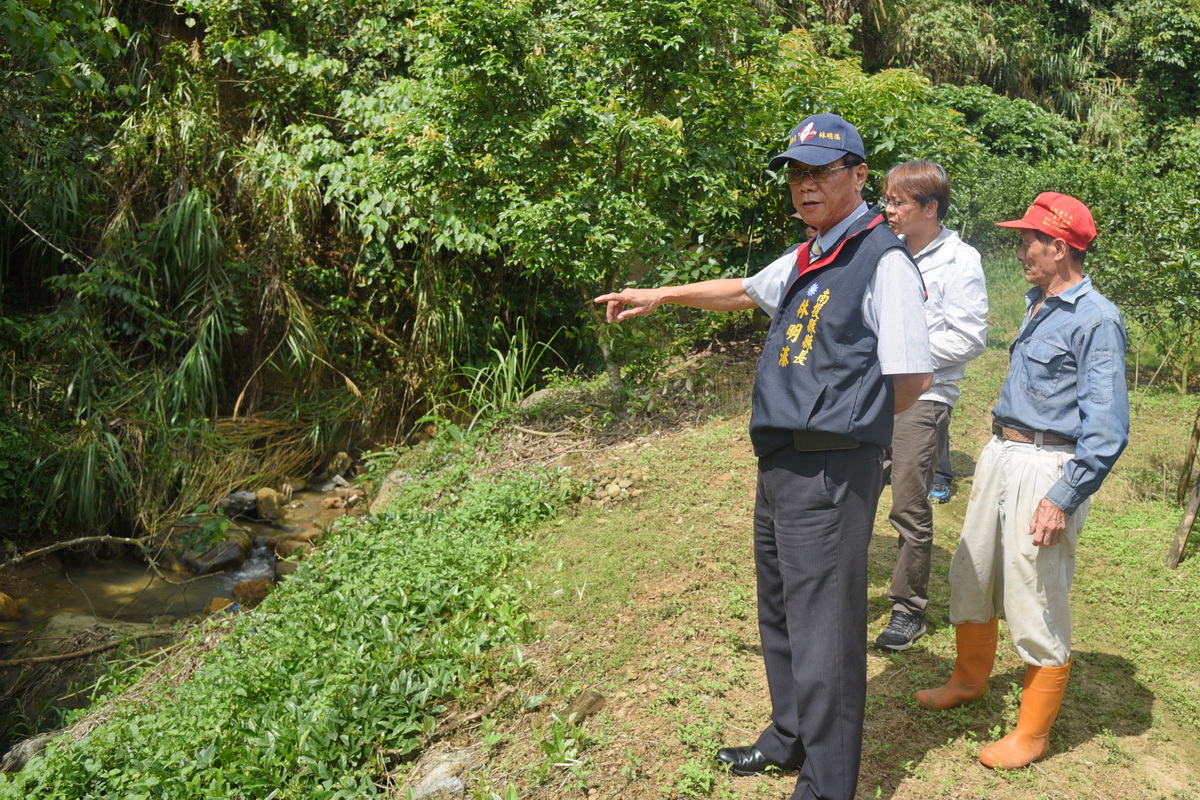 圖片-林縣長會勘中寮野溪　將施作駁坎保障農民安全