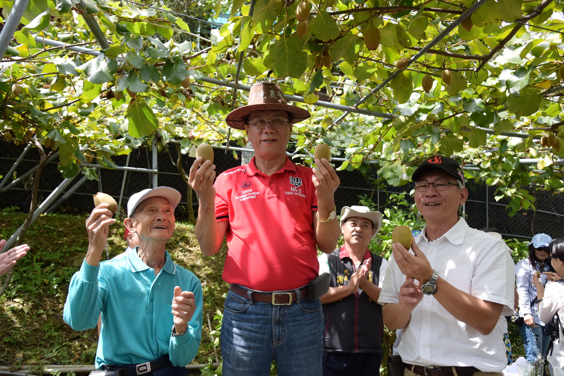 圖片-行銷清境在地黃金奇異果  林縣長取名珍味