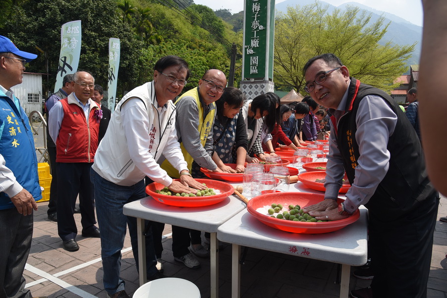圖片-南投縣梅子節登場 逾千人鬥陣來做梅盛況空前
