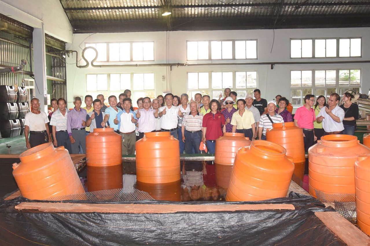 相關圖片1-青梅盛產價跌 縣農會啟動保價收購