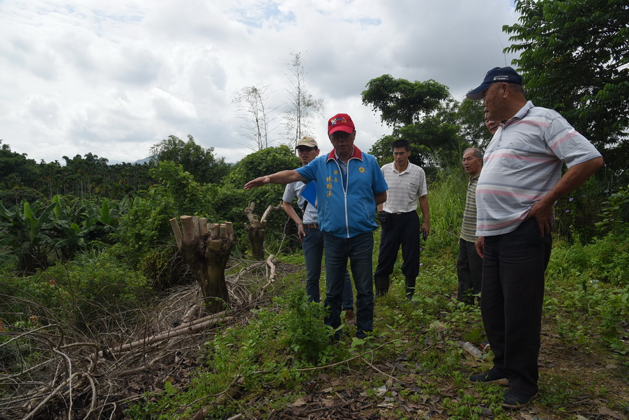 相關圖片2-林縣長會勘名間、集集多處道路野溪改善工程