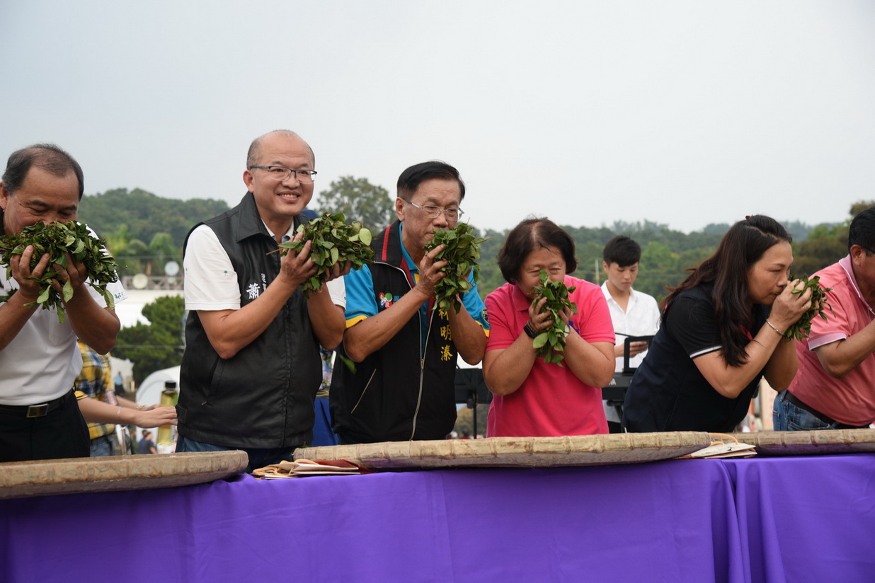 圖片-南投茶博會千人揉茶　國慶日登場