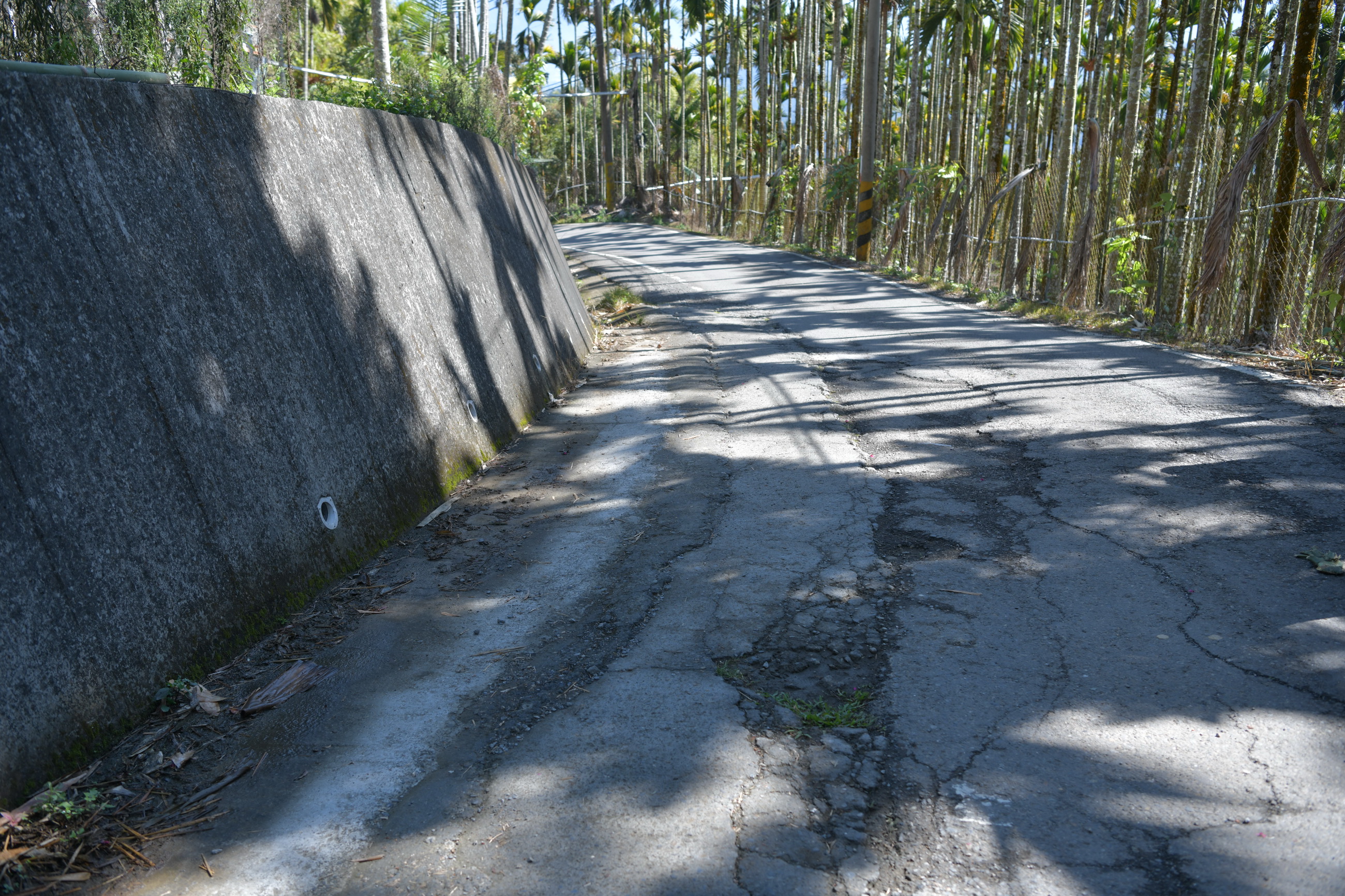 相關圖片3-九份二山產業道路將改善　遊客上山更安全