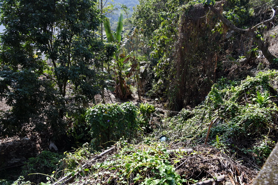 相關圖片4-國姓鄉野溪護岸流失嚴重 林縣長指示儘速發包改善