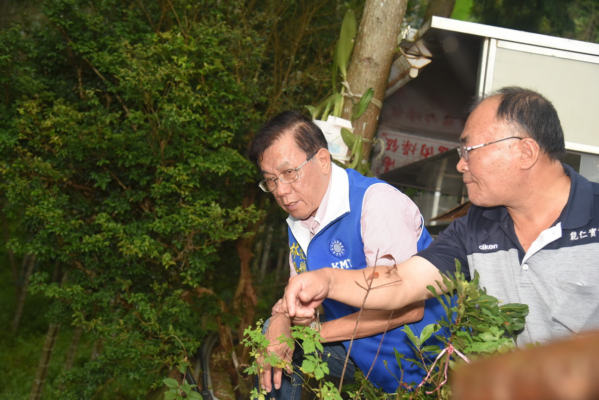 相關圖片1-集集富山里大山段坑溝掏空影響擋土牆安全 林縣長指示改善