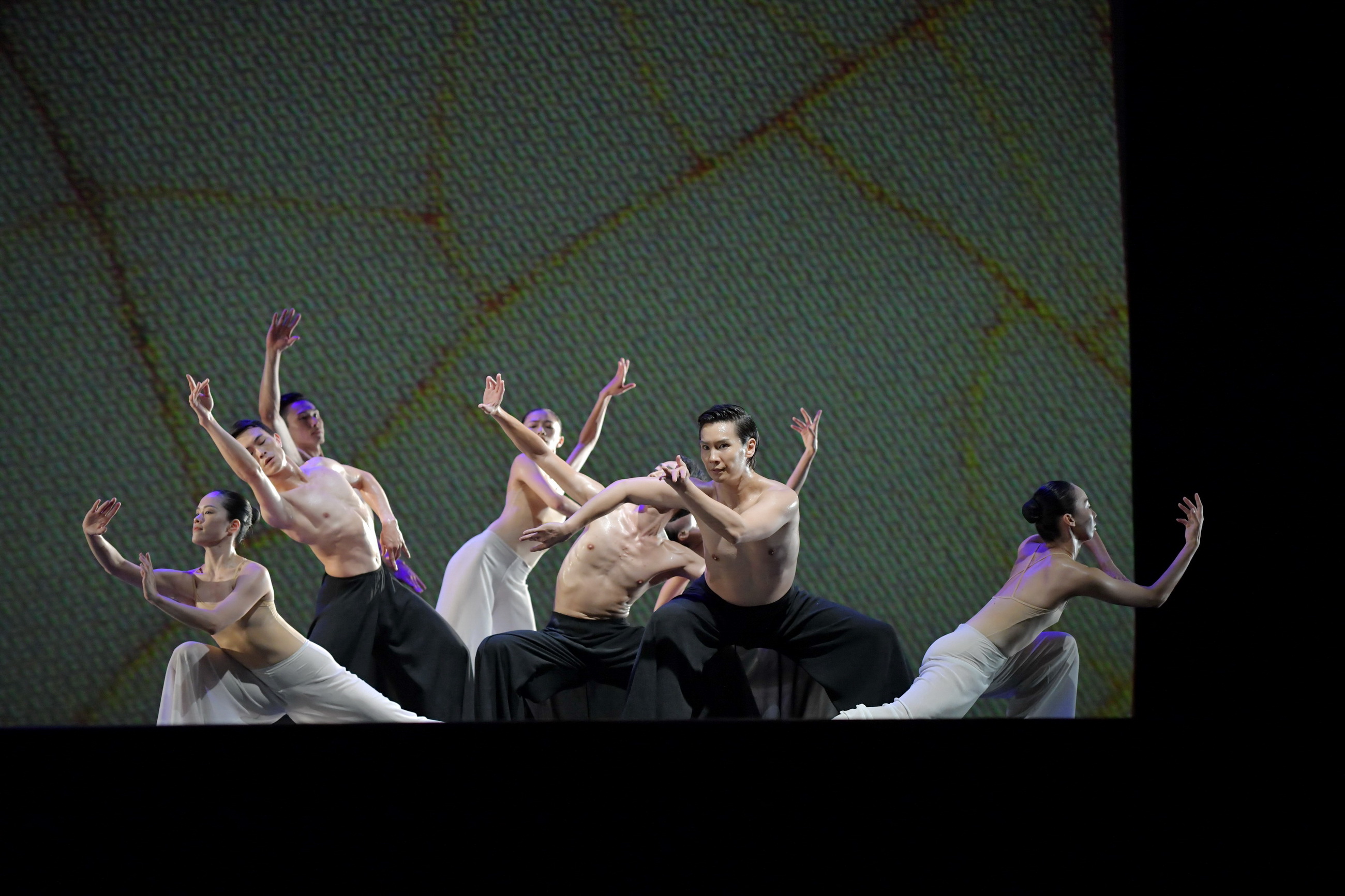 相關圖片3-雲門舞集體育場盛大演出　萬人齊聚欣賞