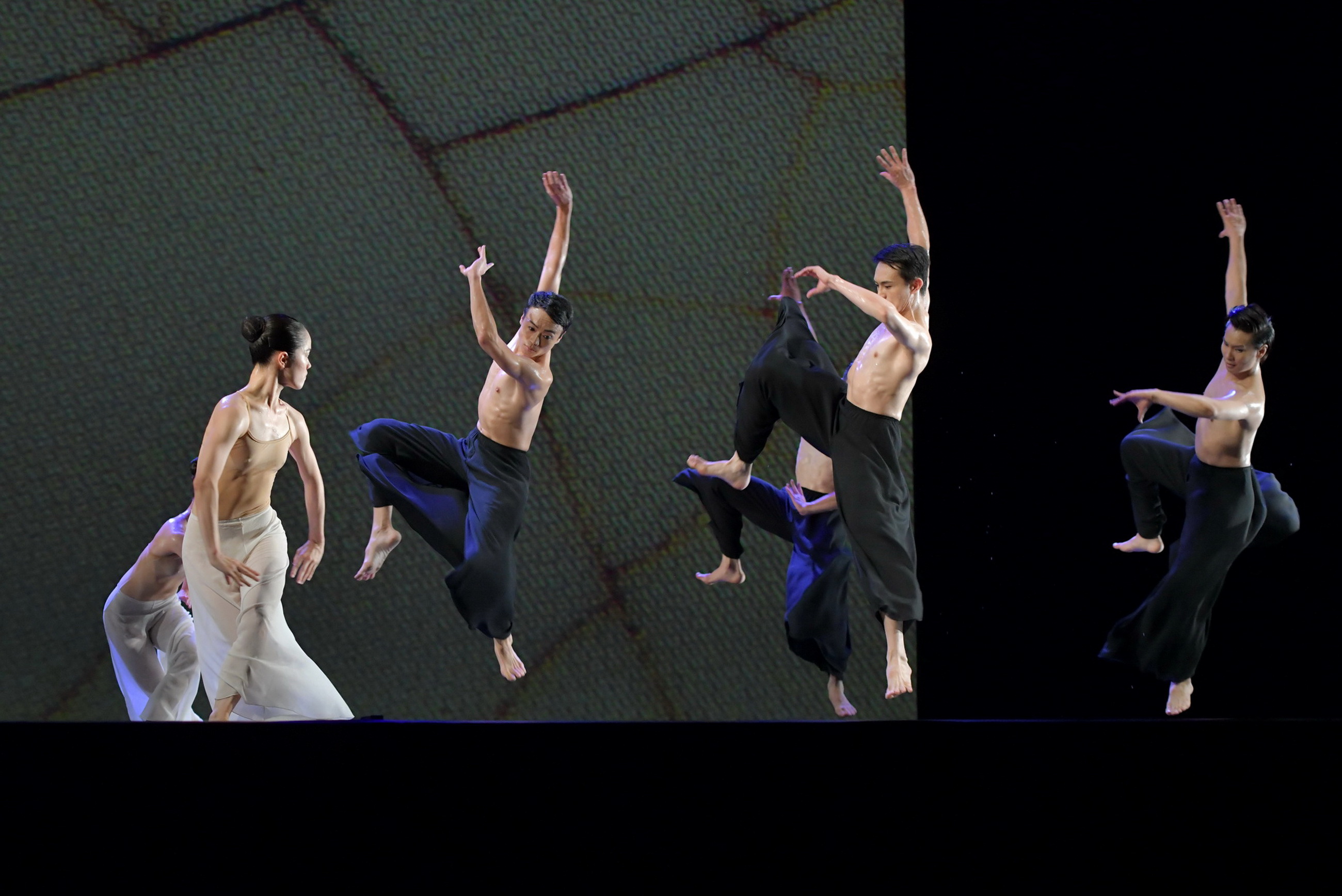 相關圖片4-雲門舞集體育場盛大演出　萬人齊聚欣賞