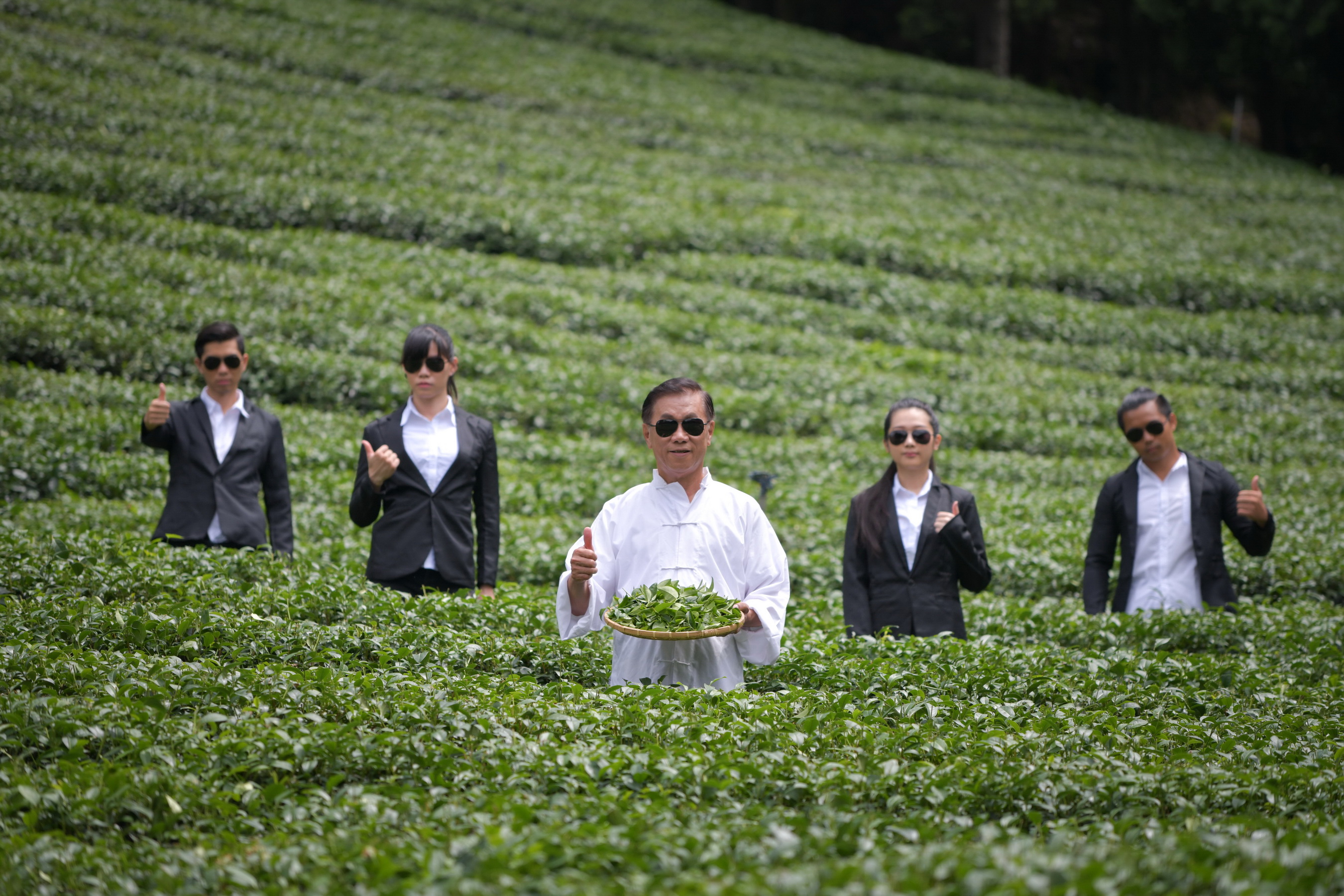 相關圖片1-喝好茶找茶伯　南投世界茶葉博覽會將於10月登場