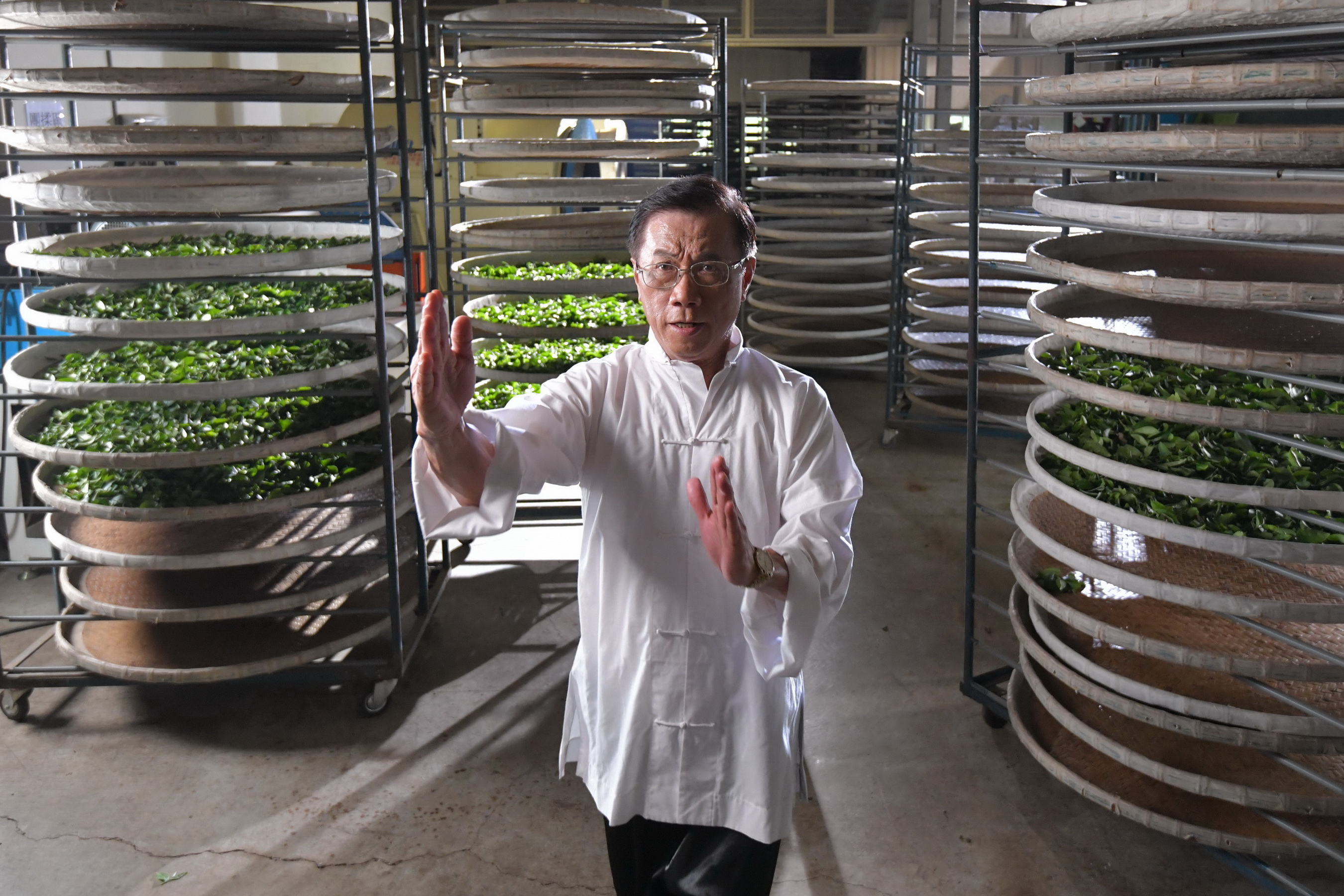 相關圖片3-喝好茶找茶伯　南投世界茶葉博覽會將於10月登場