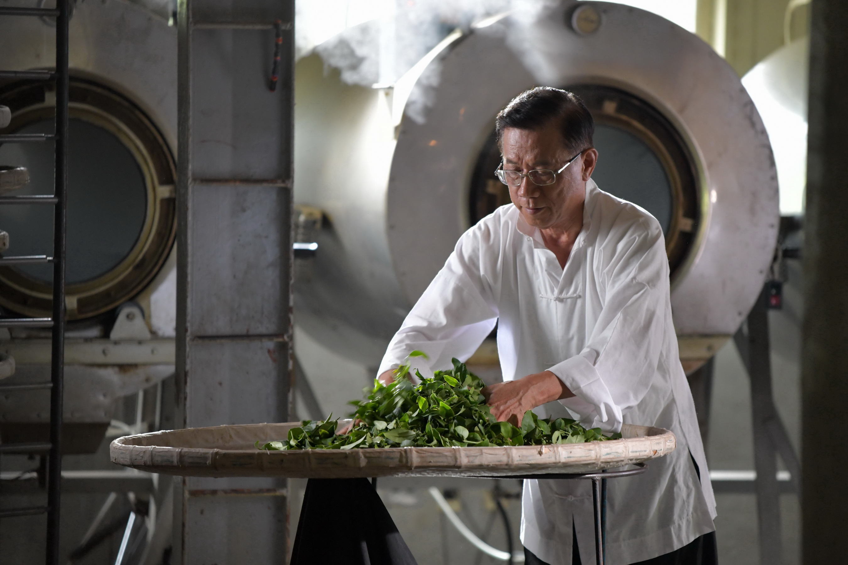 相關圖片4-喝好茶找茶伯　南投世界茶葉博覽會將於10月登場