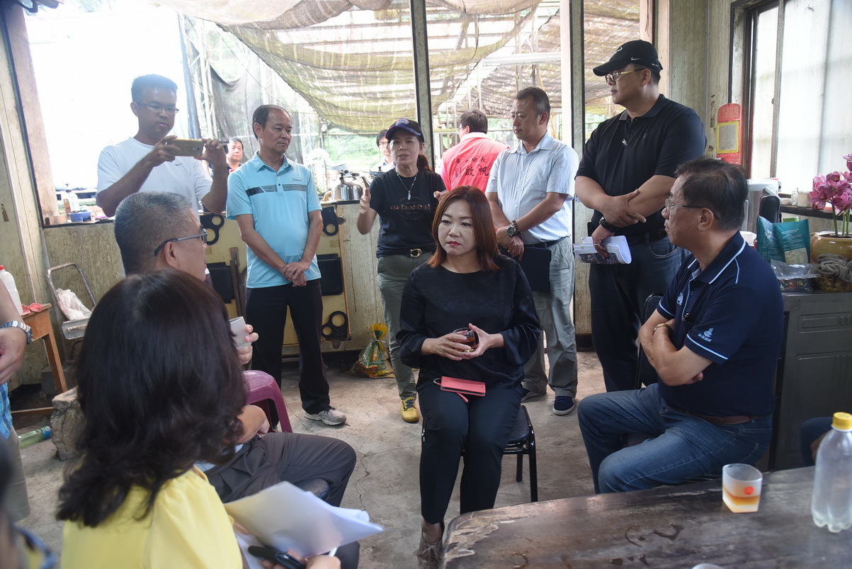 相關圖片2-魚池大林村自來水供水延管工程農曆年前完成