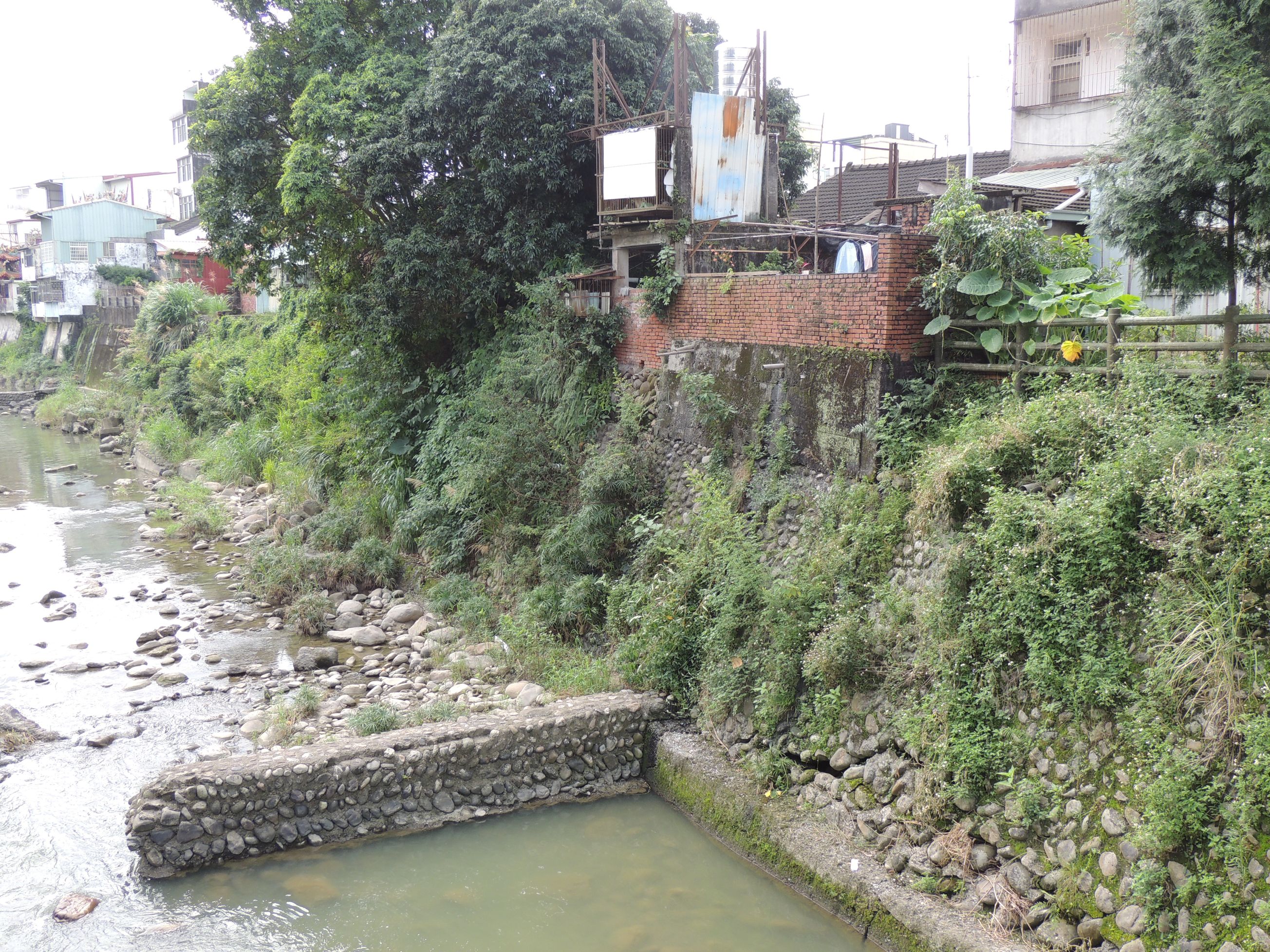 相關圖片2-集集公園橋護岸淘空危及民宅 縣長會勘敲定延長加固