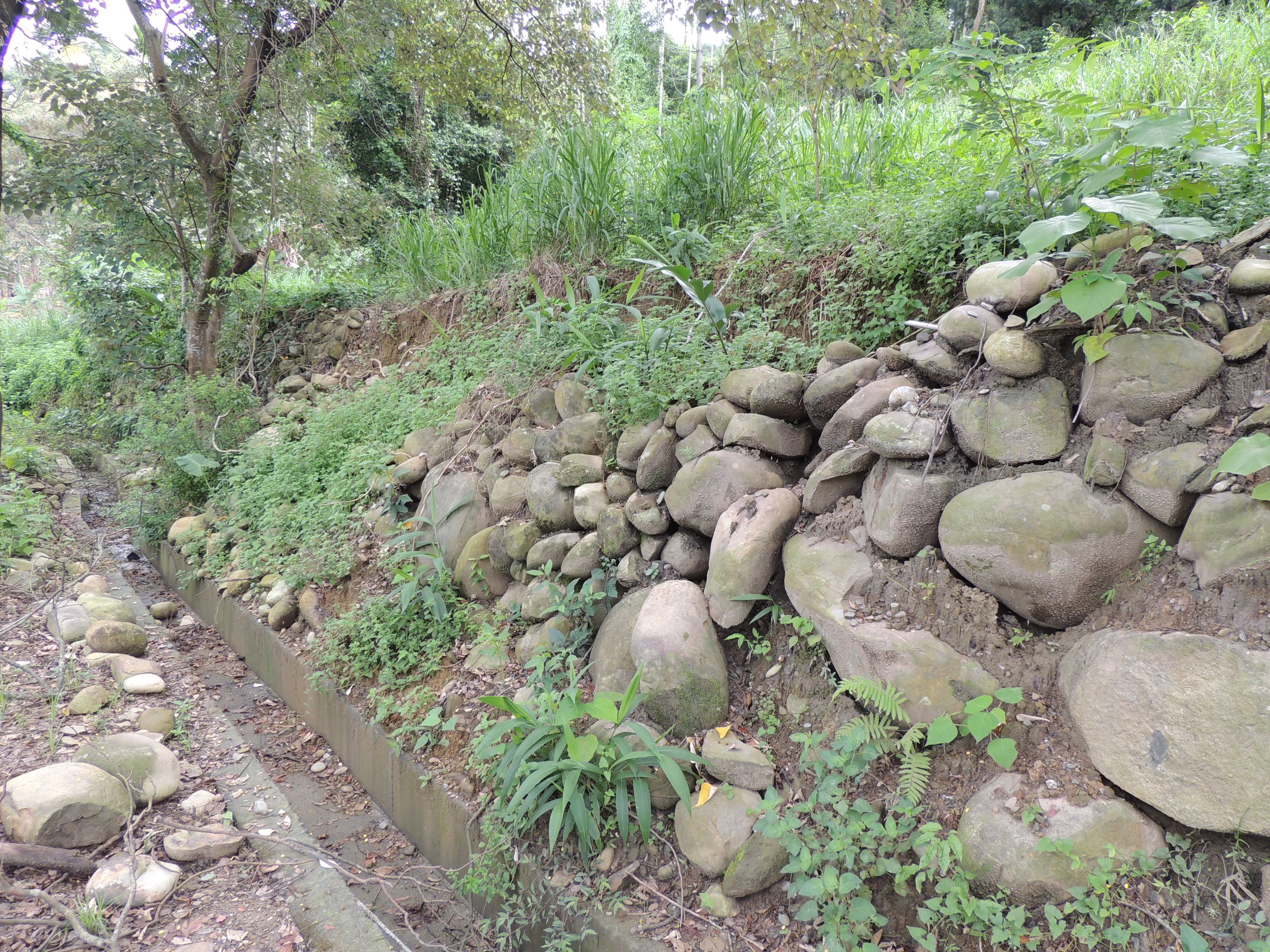 相關圖片4-集集公園橋護岸淘空危及民宅 縣長會勘敲定延長加固