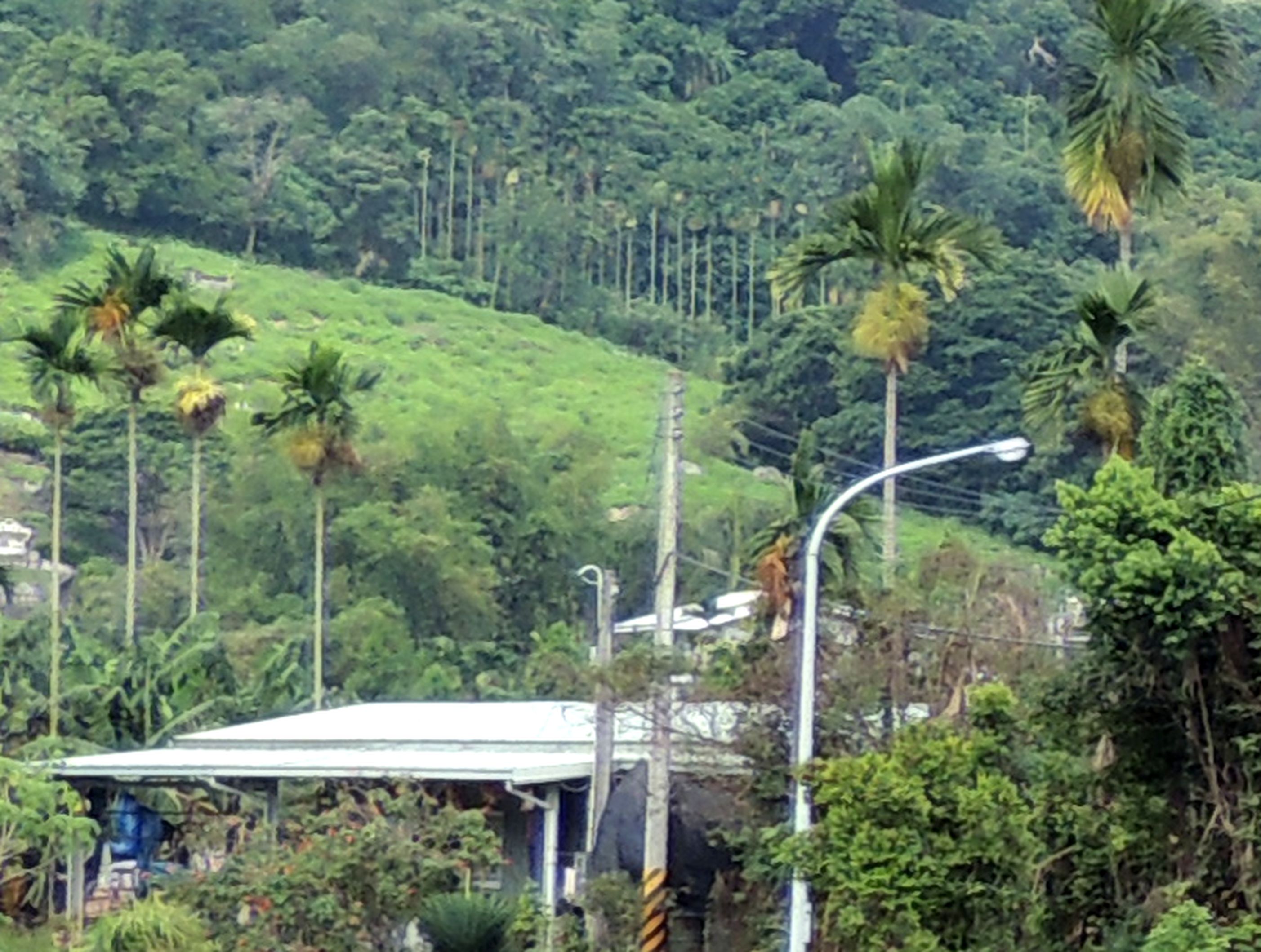 相關圖片1-山坡地回饋金南投全縣欠繳9千多萬元 縣長林明溱促免徵並爭取解編都計內山坡地