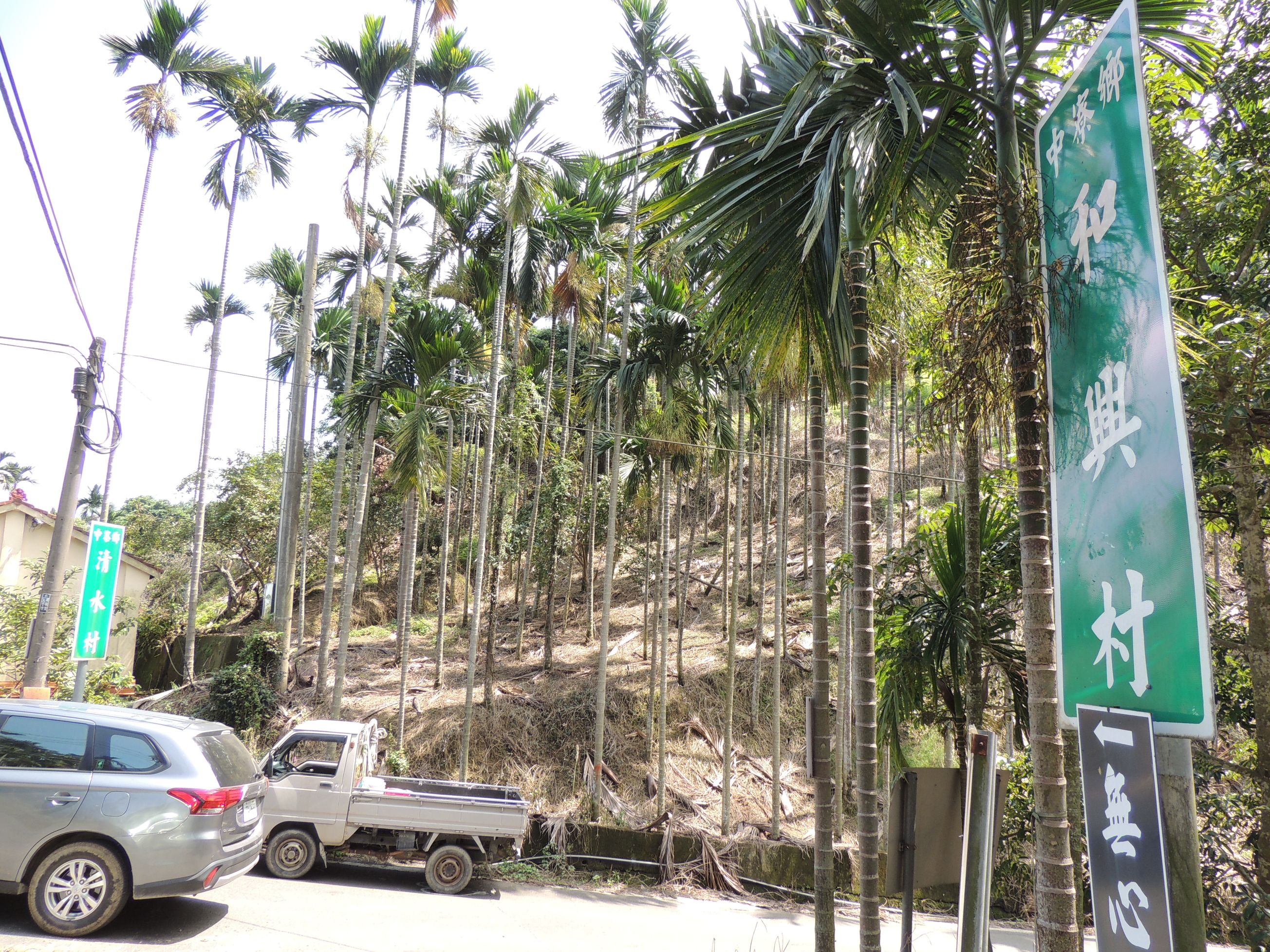 相關圖片2-中寮「環鄉道路」拓寬一次到位 縣府力籌近3億元配合款