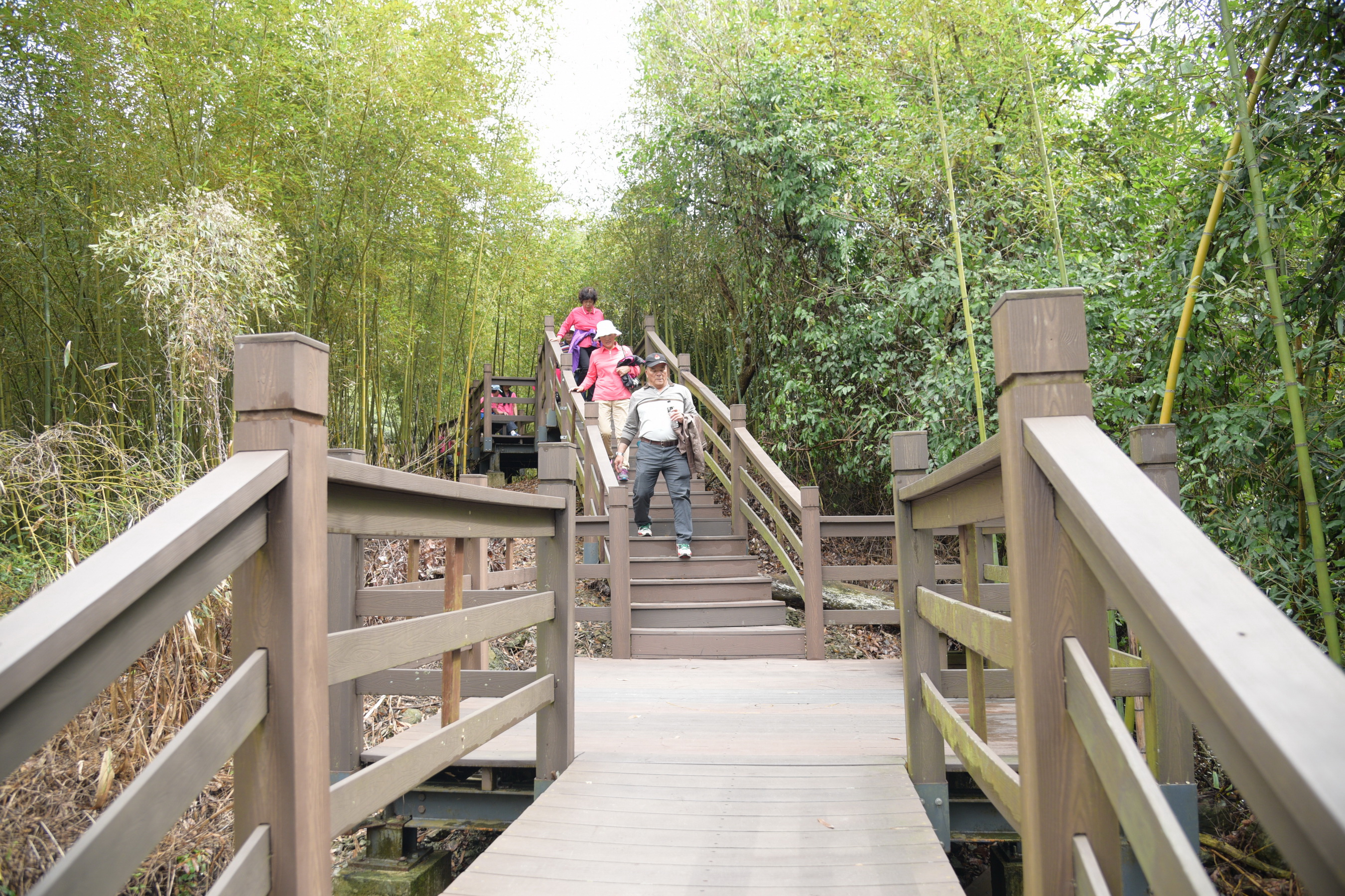 相關圖片2-人本、友善觀光 南投雙龍、瑞龍兩新舊景區將展「心」貌