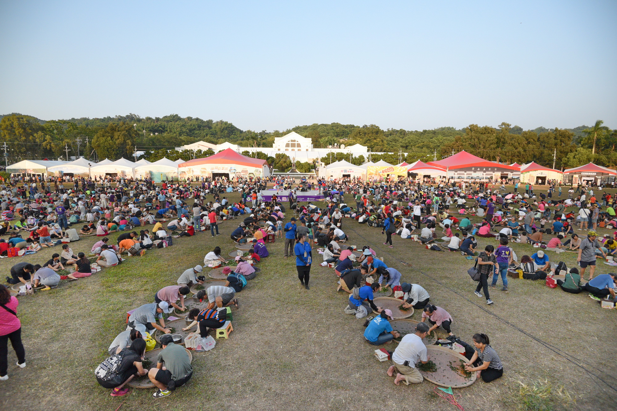 相關圖片1-茶博會千人揉茶　揉出濃情密意