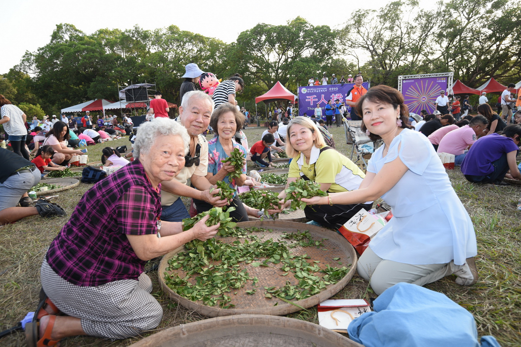 相關圖片4-茶博會千人揉茶　揉出濃情密意