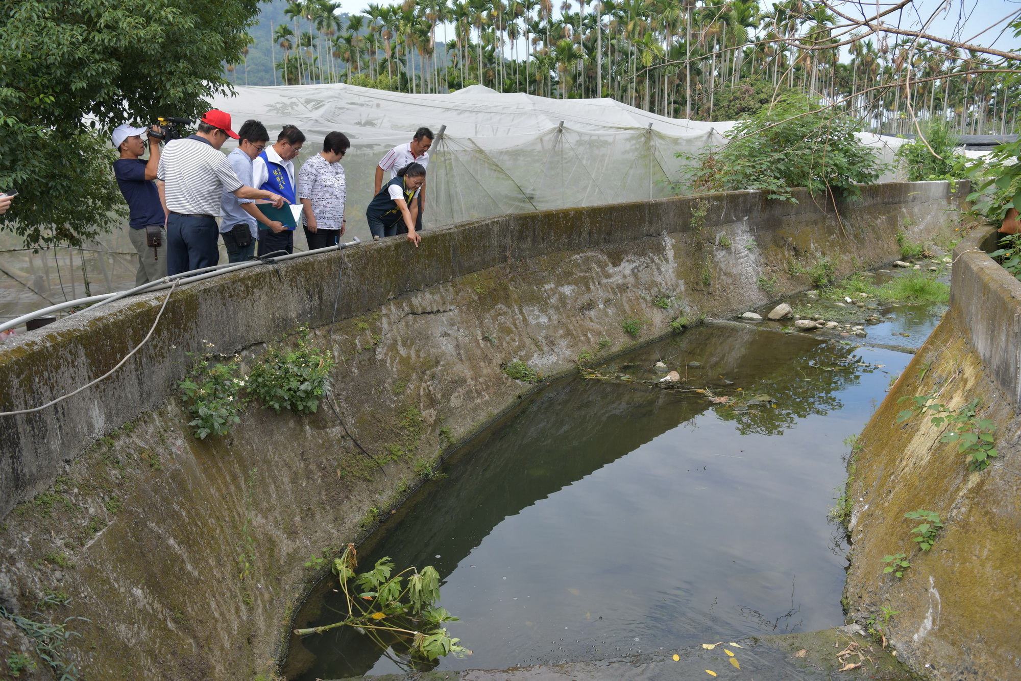 相關圖片2-集集亮點觀光環境計畫　改善大樟樹及火車站周邊環境