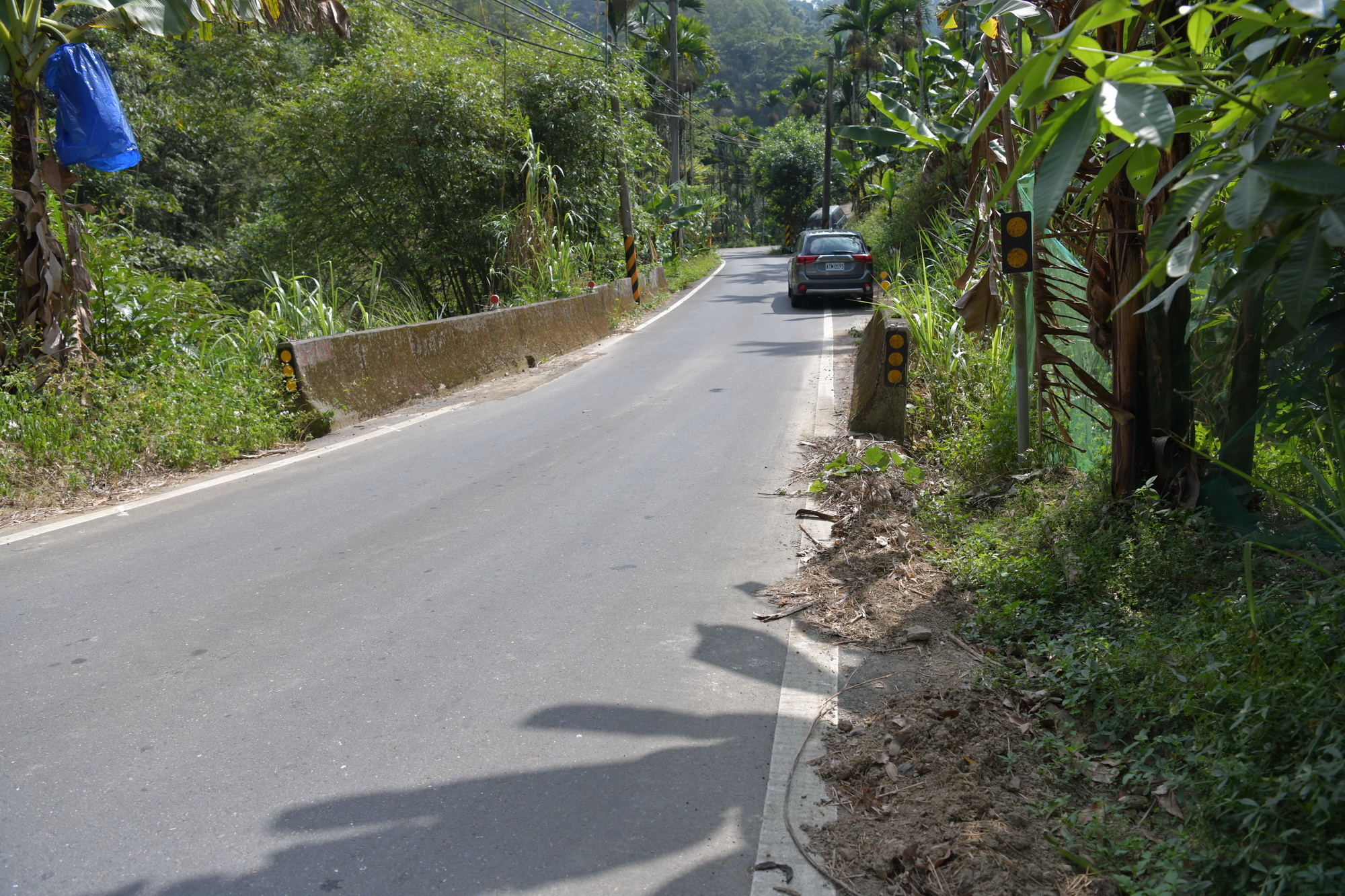 相關圖片4-集集亮點觀光環境計畫　改善大樟樹及火車站周邊環境