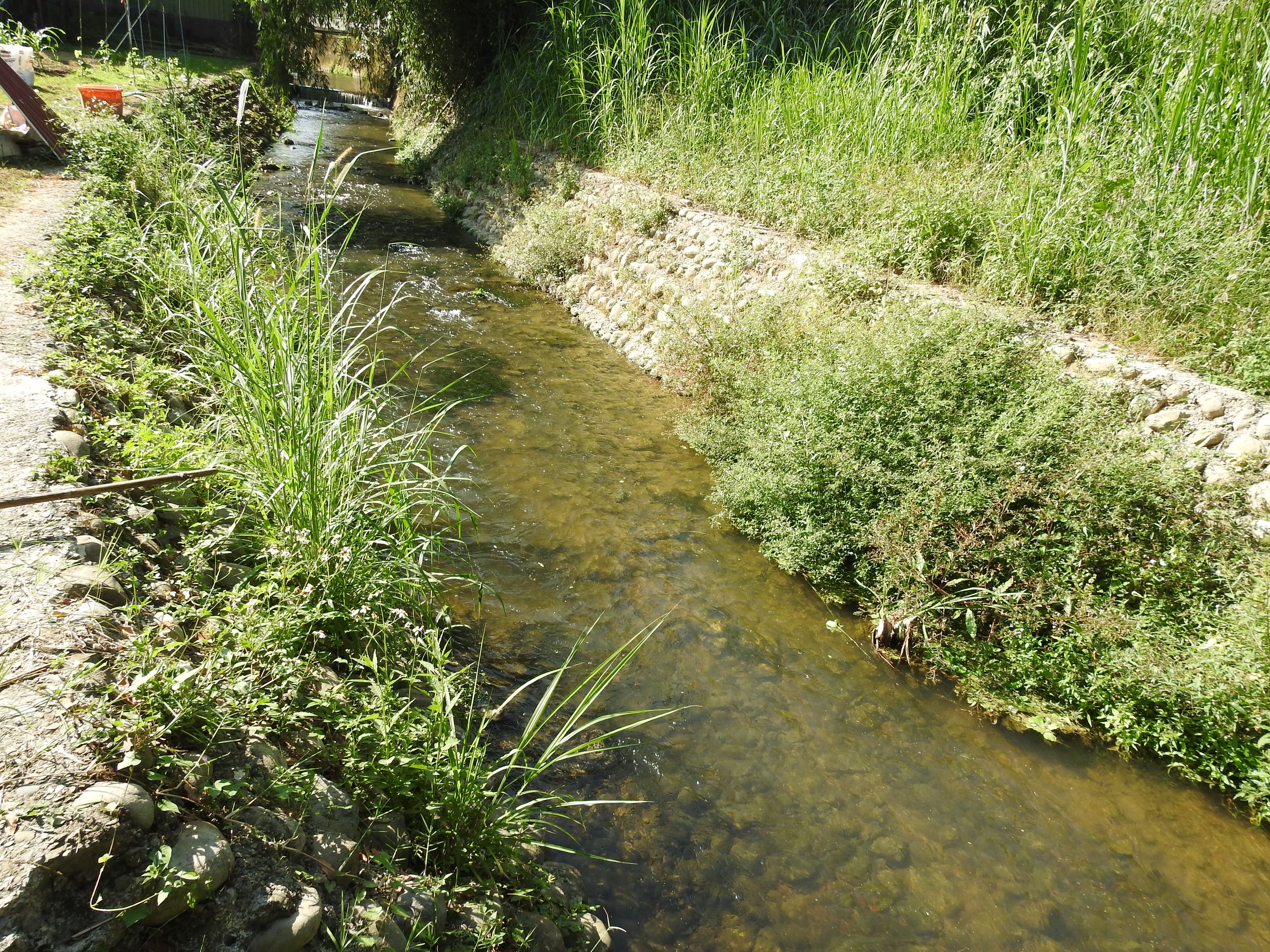 相關圖片2-埔里白葉坑排水砌石護岸老舊危險 林縣長會勘改善還加碼