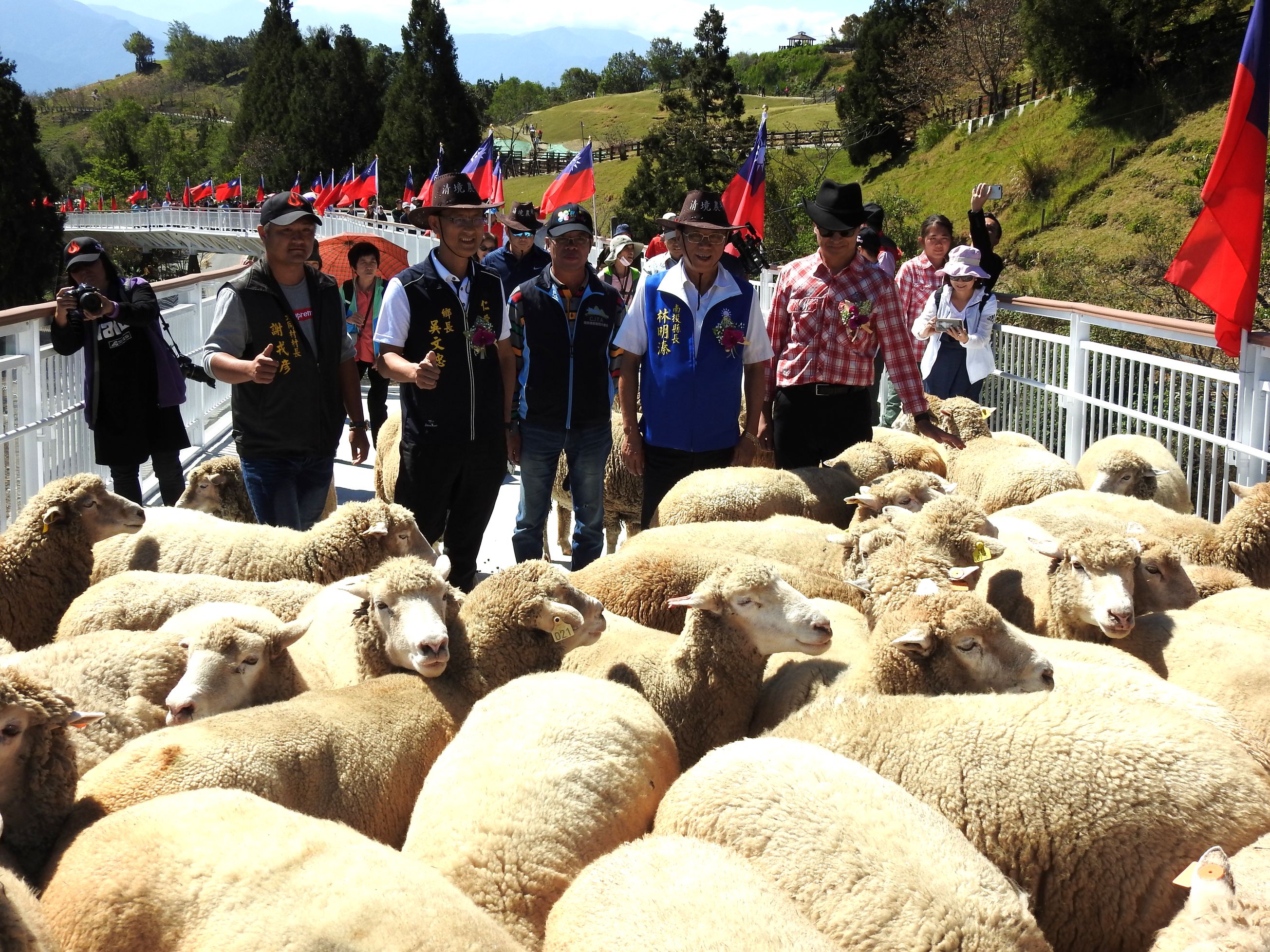 相關圖片1-清境高空觀景步道二期開幕  羊羊喜氣領頭、國旗「一路發」