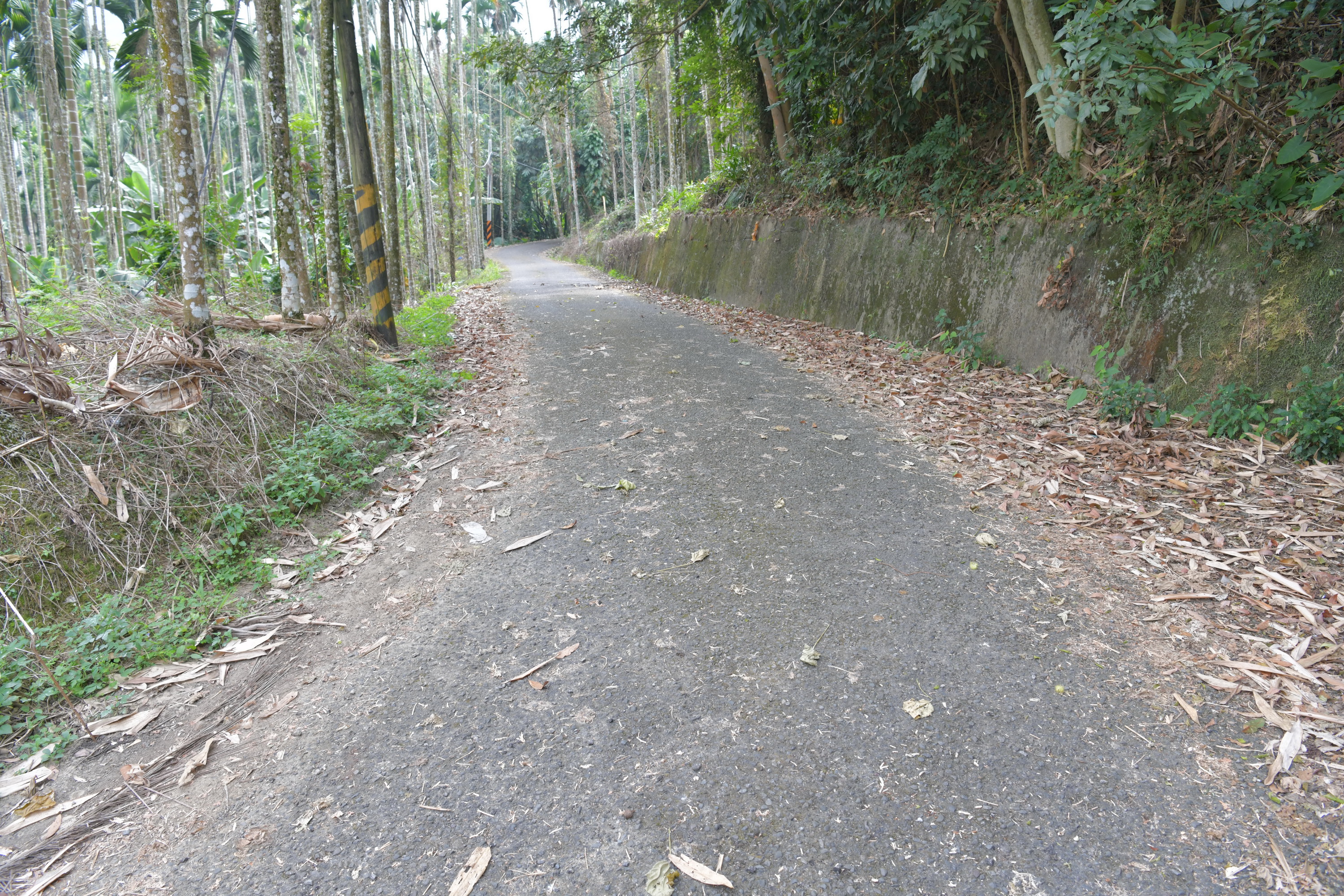 相關圖片1-縣府將花200萬元　改善竹山路面及排水溝