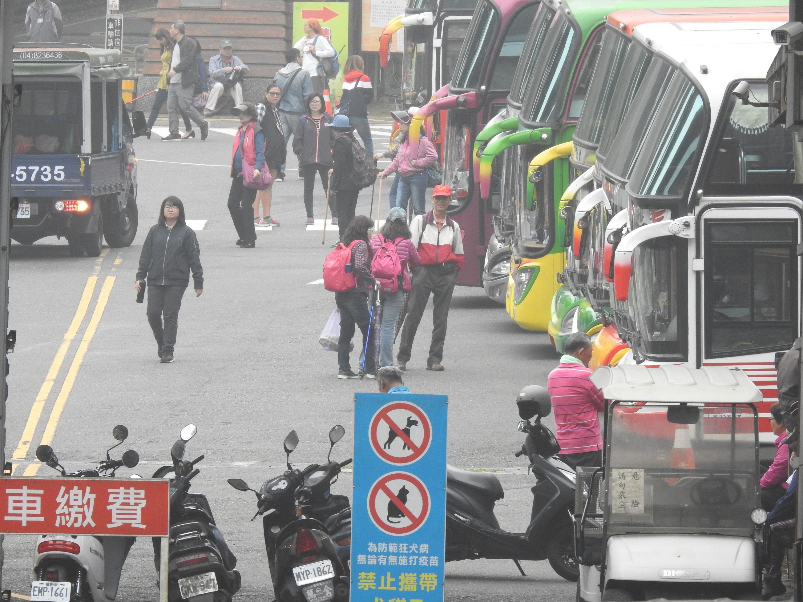 相關圖片3-紓解春節壅塞 溪頭拓路增停車位 縣府加速規劃推動