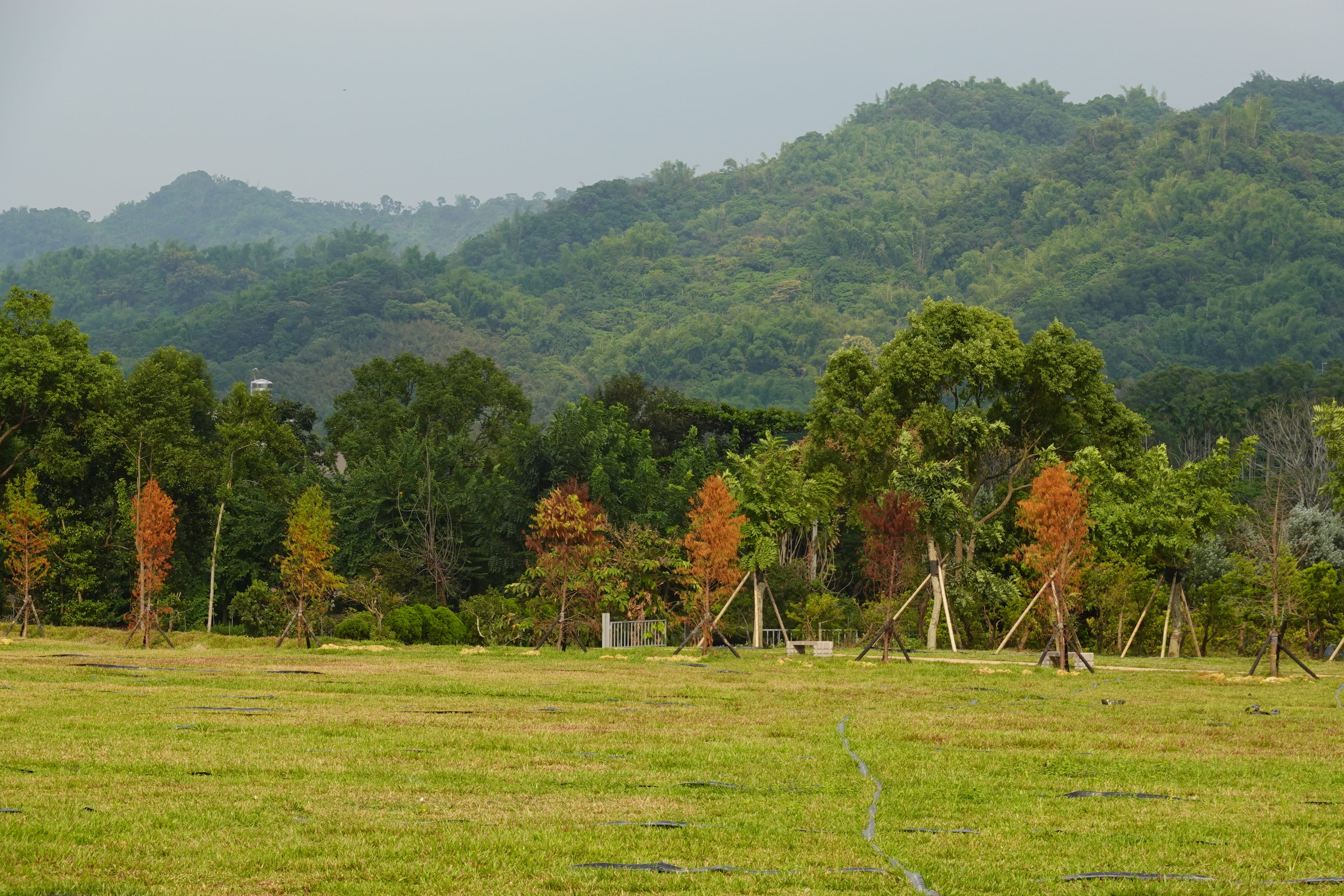 相關圖片2-共融式遊憩公園議會關注 林縣長允全力推動