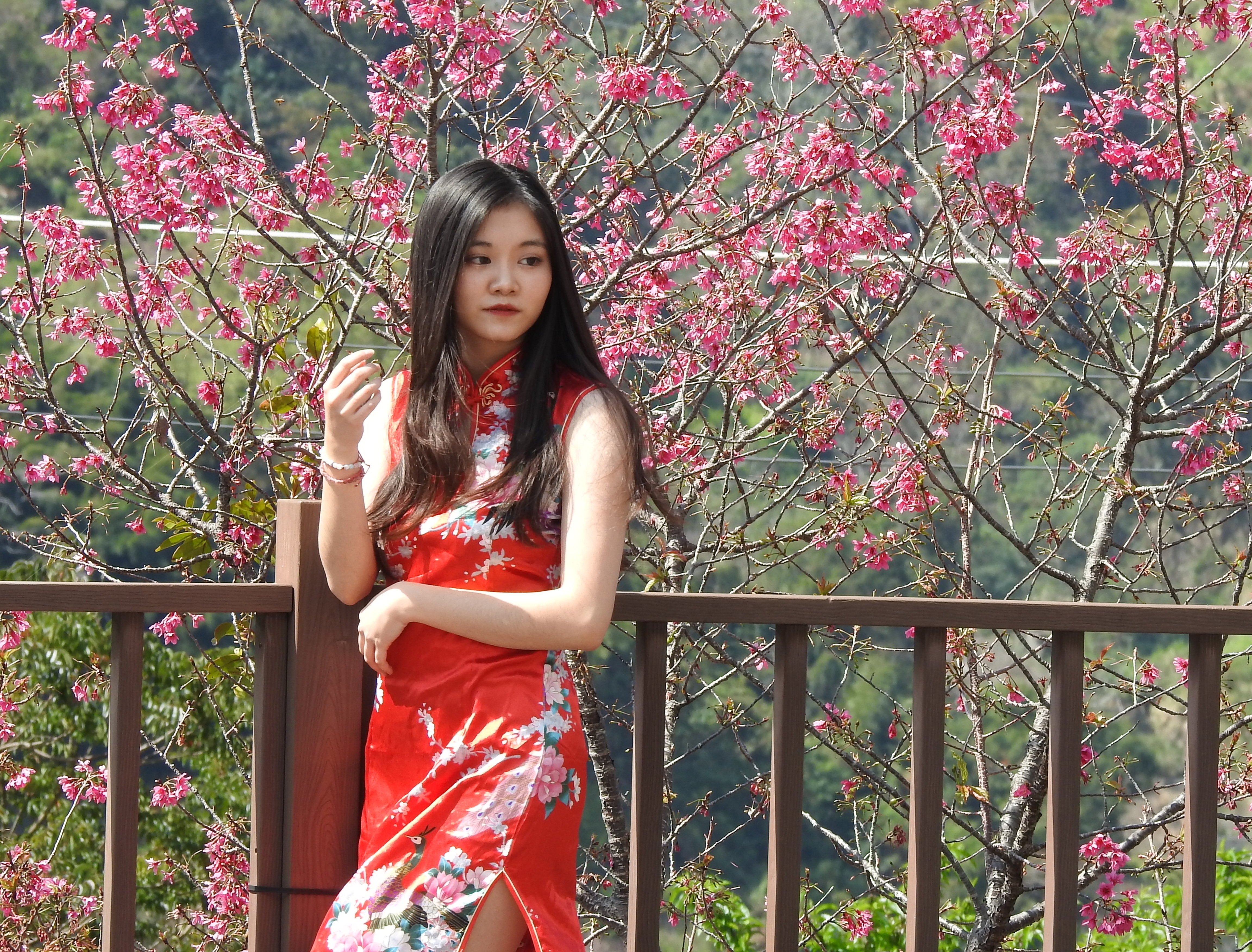 相關圖片4-3億多元風貌形塑工程動土 東埔溫泉觀光區將脫胎換骨