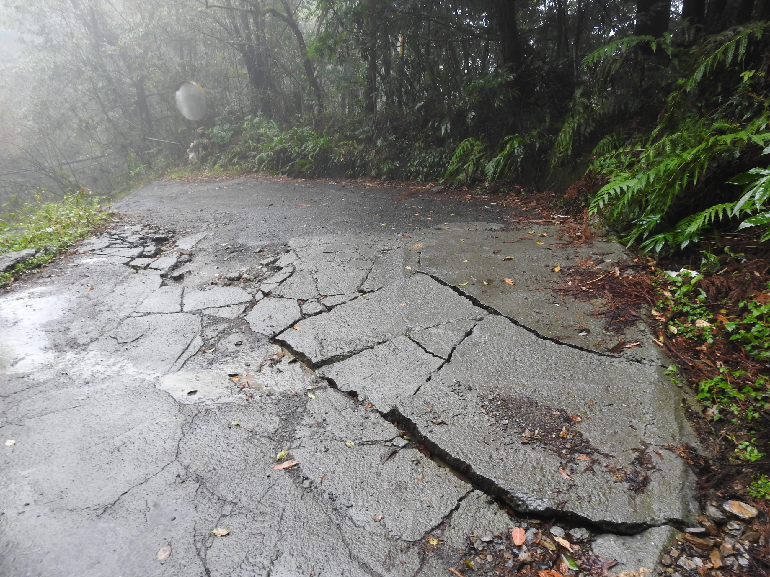 相關圖片2-仁愛鄉梅峰通都達農路地滑 縣長冒雨會勘改善