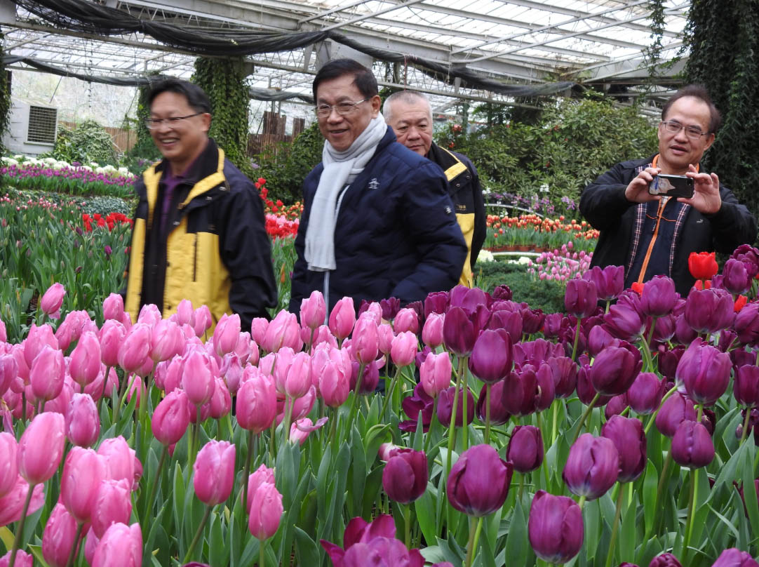 other image2-Spring at Sun-Link-Sea: the flower season was wonderful. Magistrate Lin advised people to take a break in the outdoor venue to relieve the stress of disease control (Feb. 12)