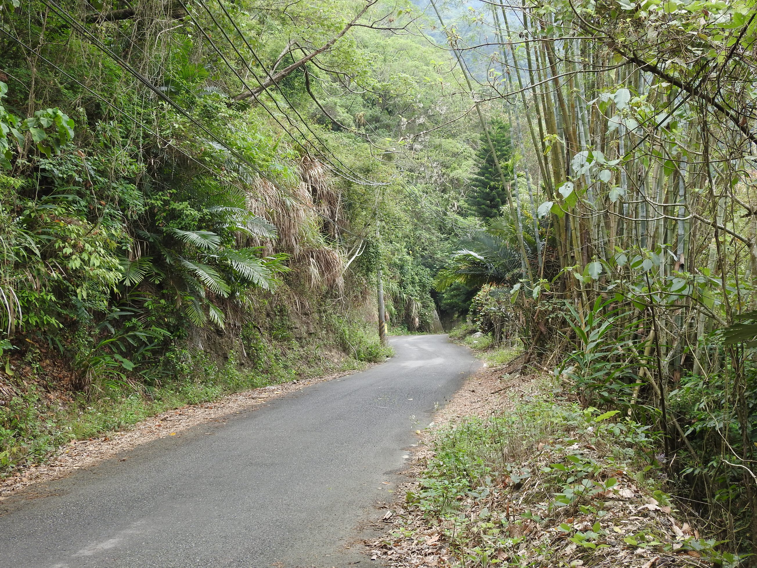 相關圖片4-中寮環鄉道路拓寬三期縮短成兩期 縣府砸2.6億配合款 拚111年完工