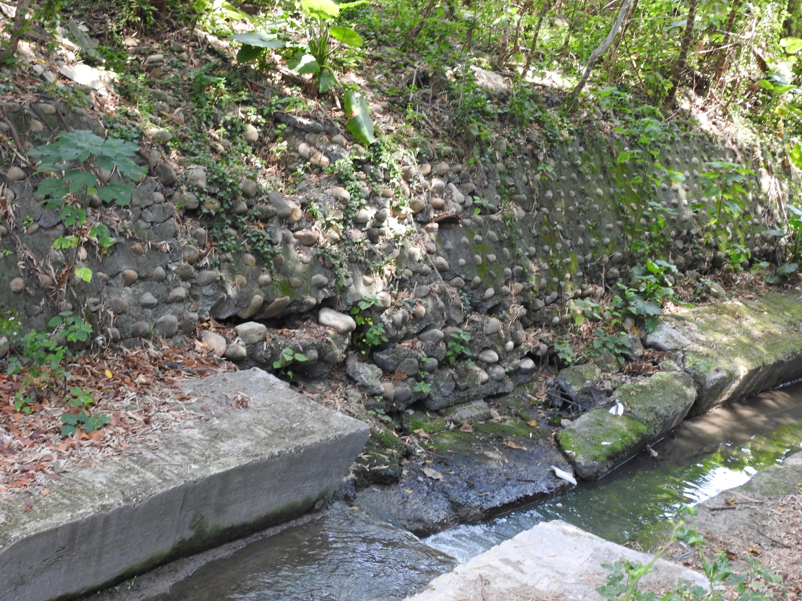 相關圖片4-南投市牛運崛、和興坑兩大排整修 縣長會勘有譜