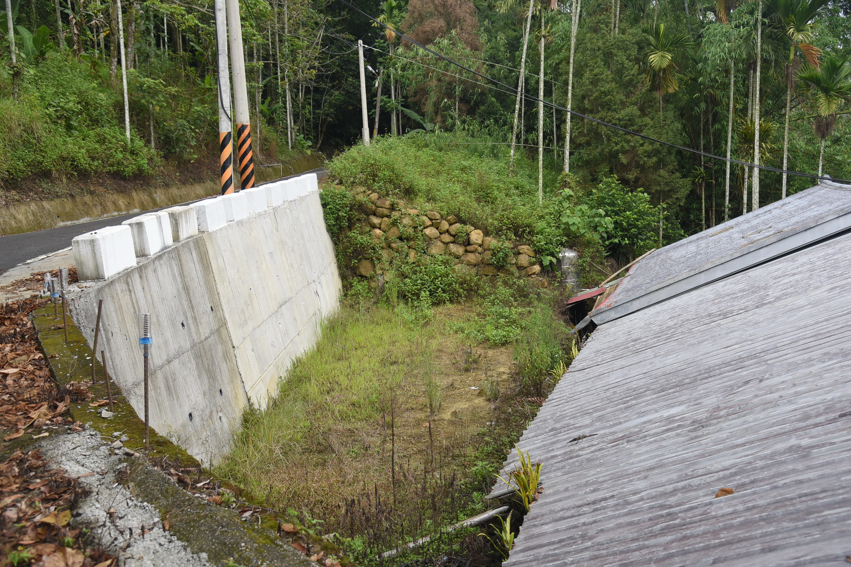 相關圖片2-竹山區排擋土牆及道路安全堪虞 林縣長指示改善