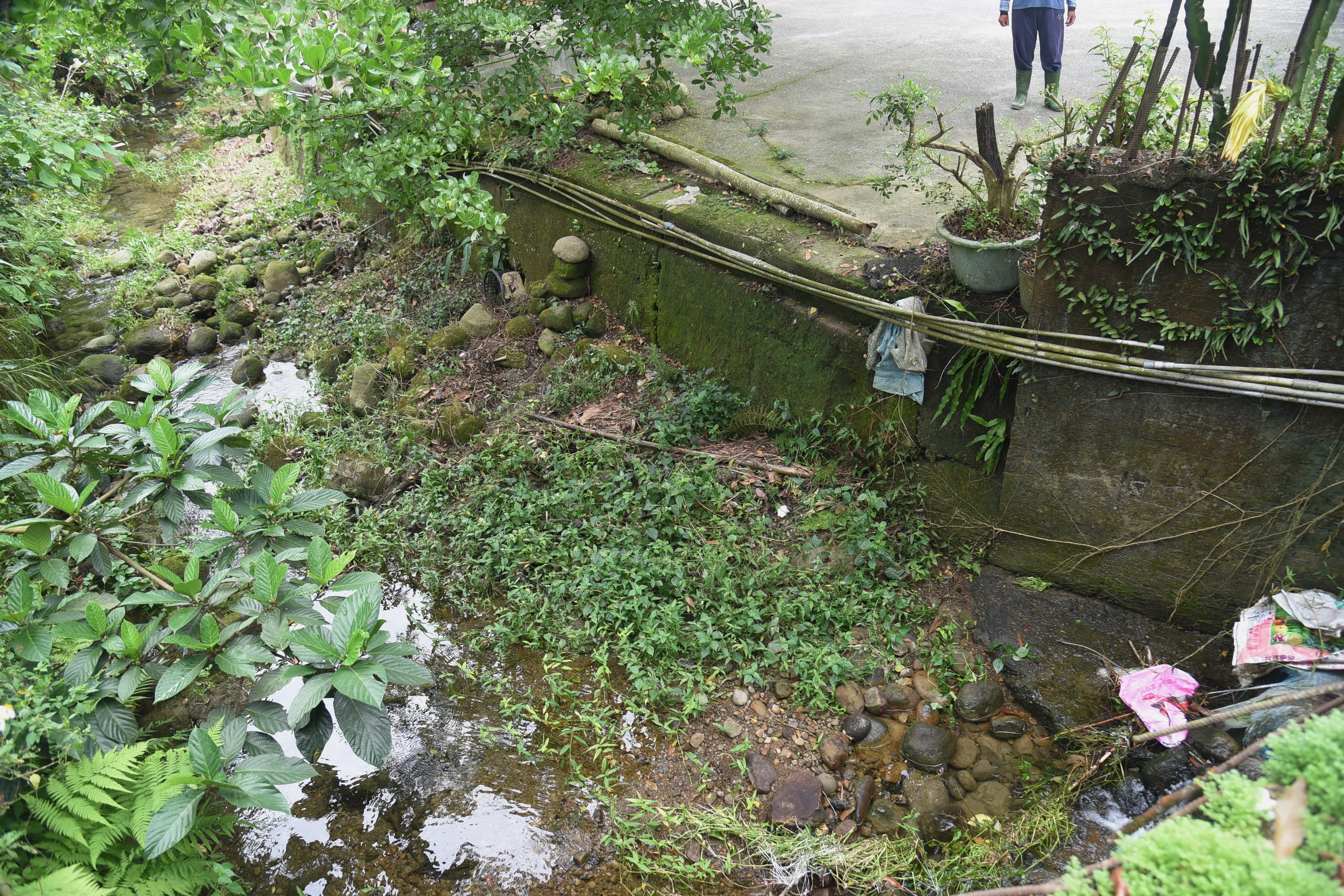 相關圖片4-竹山區排擋土牆及道路安全堪虞 林縣長指示改善